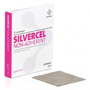 SILVERCEL | Hidro-Alginato N/A 1