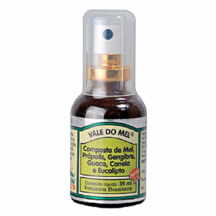 SPRAY DO VALE GENGIBRE 35ML
