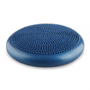 DISCO DE EQUILIBRIO FISIOPAUHER UNI