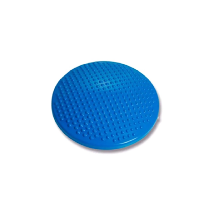 BALANCE DISC CARCI