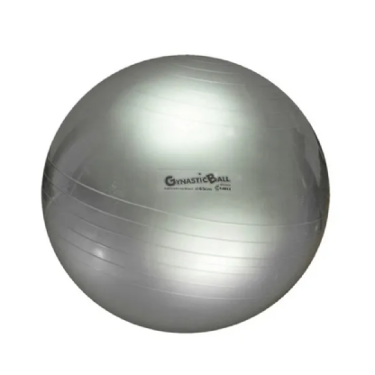 BOLA GYNASTIC BALL 65CM PRATA