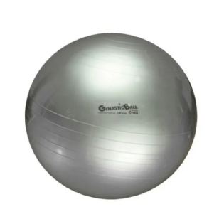 BOLA GYNASTIC BALL 65CM PRATA