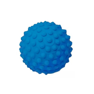 BOLINHA ESFERA FISIOTERAPICA COM CRAVO